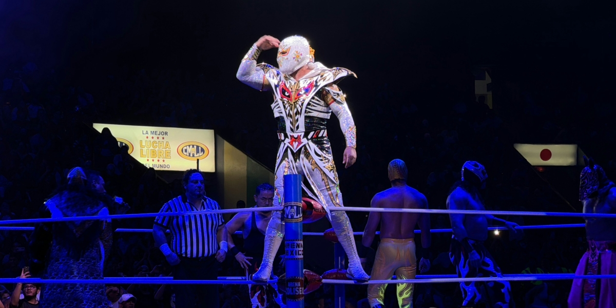 The Professional Wrestling Industry: Challenges, Growth, and Trends