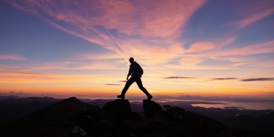 The Culture Cascade How Leaders’ Wellness Habits Shape Entire Organizations