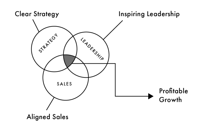 The Leadership-Sales-Strategy Code Achieving Growth That Lasts