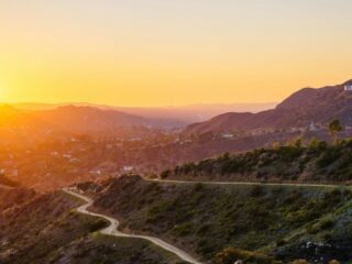 Echoes on the Hills: A Story Tied to The Hollywood Sign