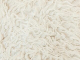 Tips for Caring for a White Rug and Maintaining Its Fresh Look