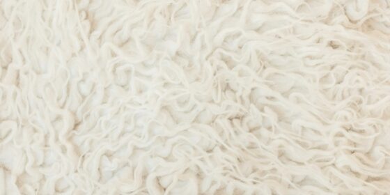 Tips for Caring for a White Rug and Maintaining Its Fresh Look