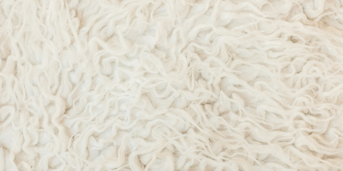 Tips for Caring for a White Rug and Maintaining Its Fresh Look