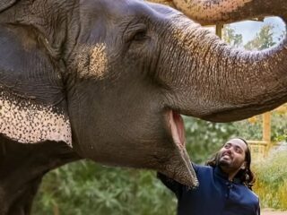 VANTARA - Healing Wildlife, Restoring Earth’s Balance