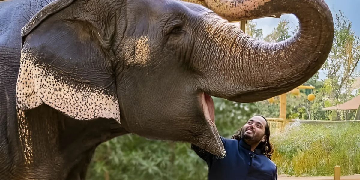 VANTARA - Healing Wildlife, Restoring Earth’s Balance