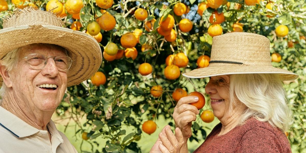 From Lemon Groves to Legends: How Hollywood Became the World's Film Capital