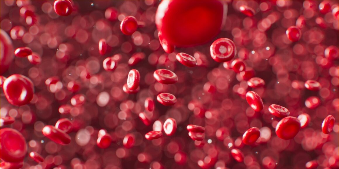 Understanding Red Blood Cells: Their Role, Function, and Importance for Health