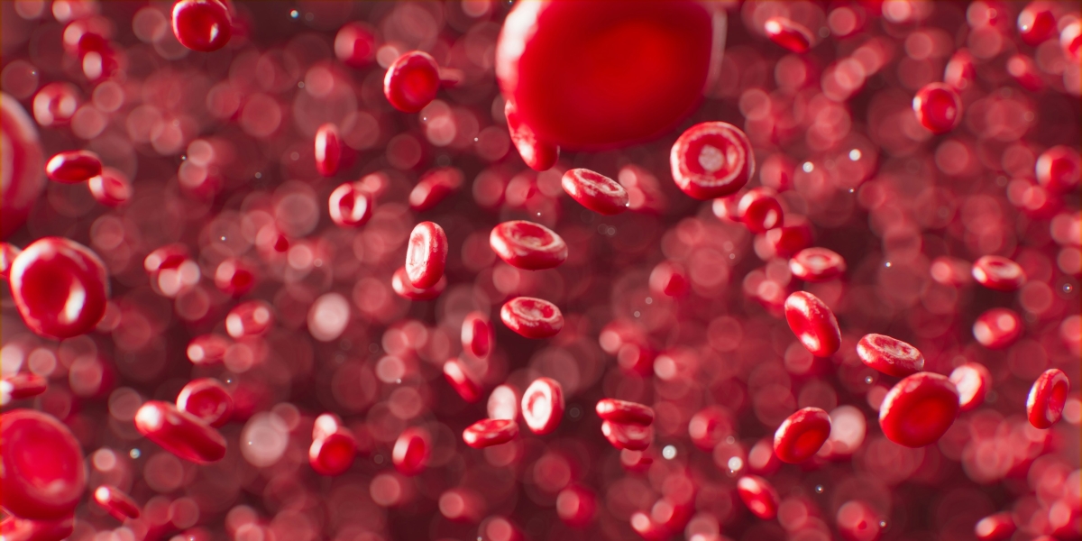 Understanding Red Blood Cells: Their Role, Function, and Importance for Health
