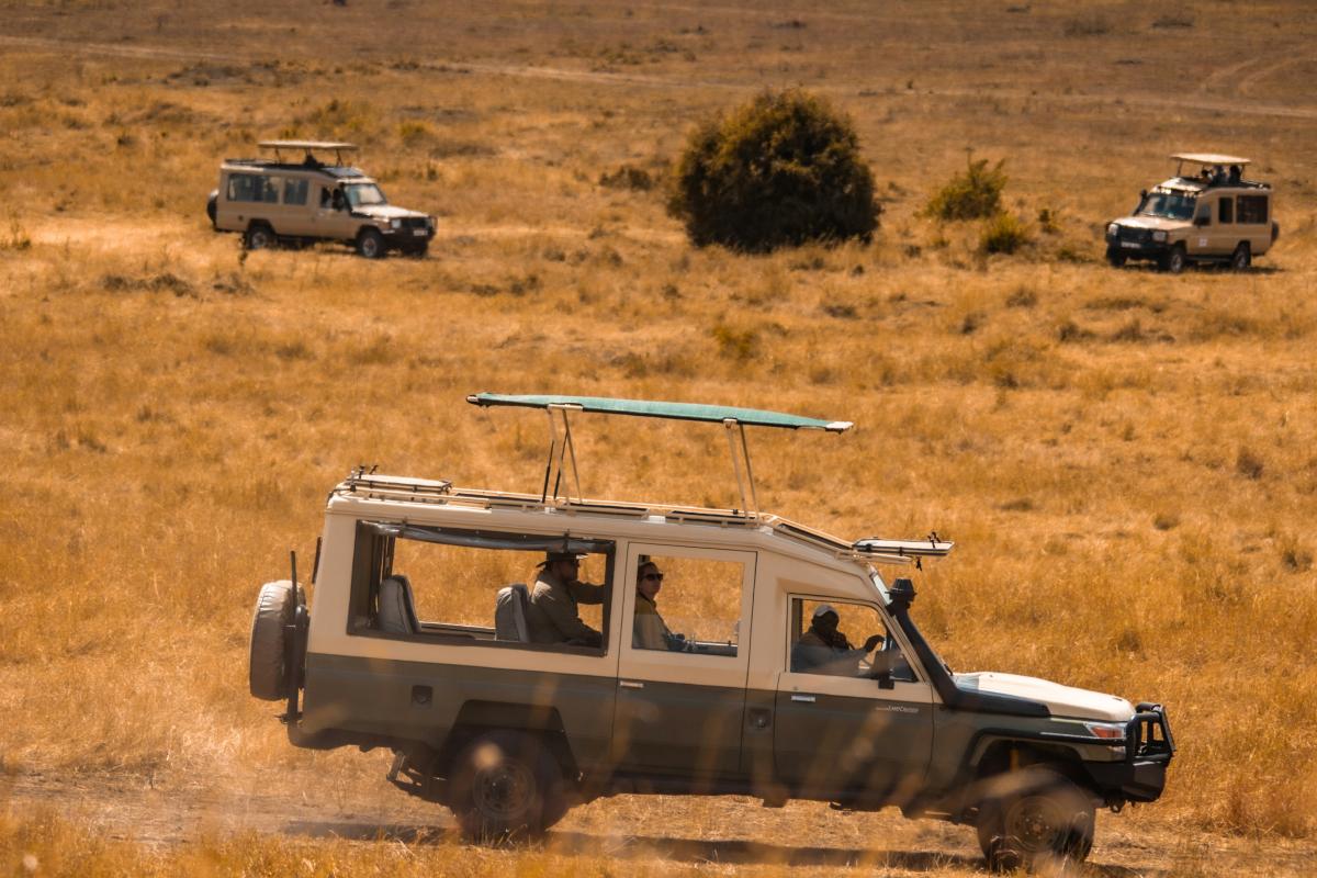 Safari in Tanzania: What Every Traveler Needs to Know