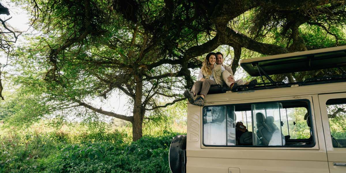 Safari in Tanzania: What Every Traveler Needs to Know