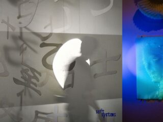 Soft Systems: Reimagining the Fluid Identity of the Future Designer