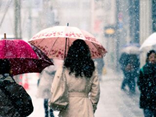 Beyond the Umbrella: The Burn Scar and Mental Health Reality of SoCal Storms