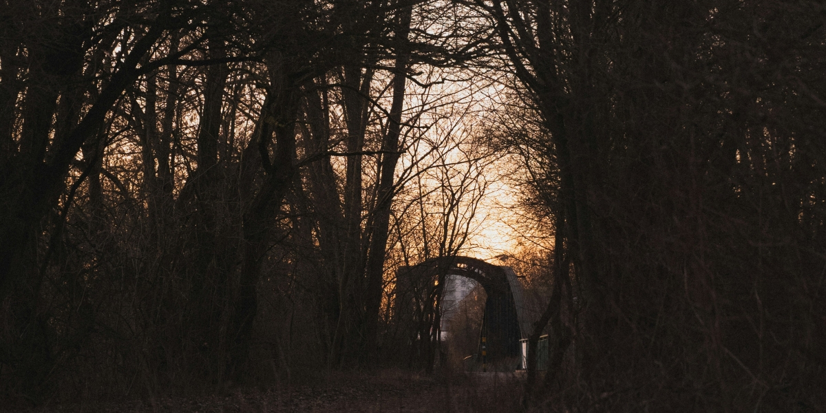 LA’s New Indie Horror: How the 'Influencer' Sequel is Taking Over Streaming