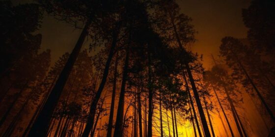 LA Wildfire Stories Told Through Virtual Reality Exhibits and Documentaries