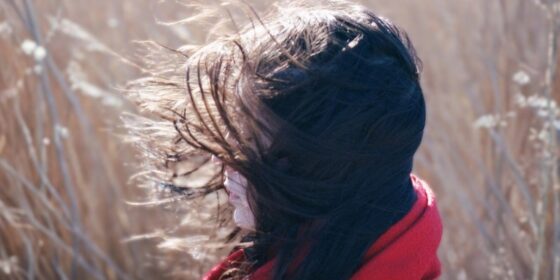 Misery = Comfort and Molematch: The Rise of Silent Independent Cinema