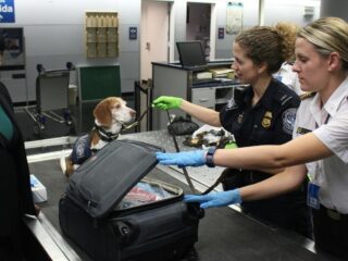 LAX Airport Firefighters Outline Emergency Response Protocol After LaGuardia Crash