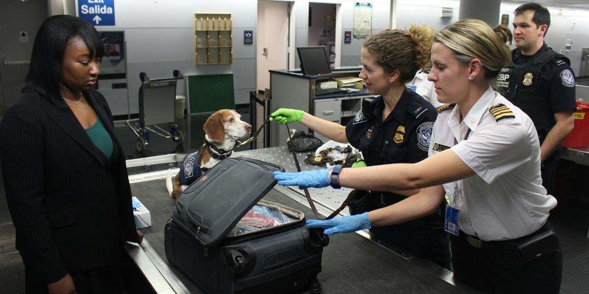 LAX Airport Firefighters Outline Emergency Response Protocol After LaGuardia Crash