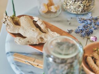 Tinctures vs. Teas vs. Capsules: Which Herb Format Is Right for You