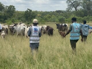 How MATW Delivers Qurbani Across Multiple Crisis Regions