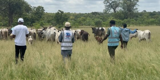 How MATW Delivers Qurbani Across Multiple Crisis Regions