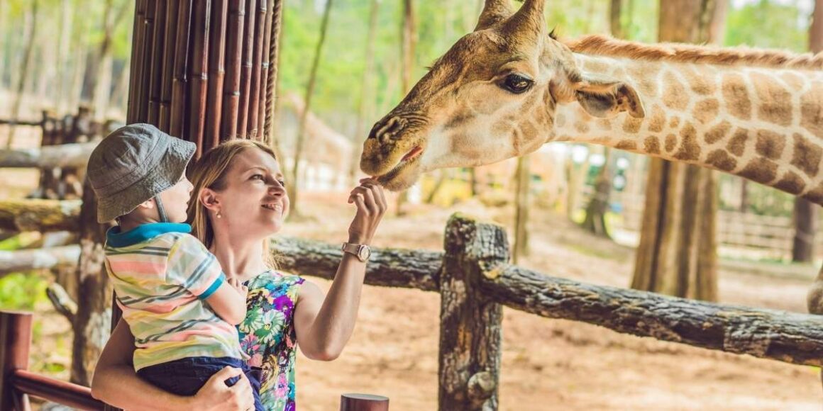 Los Angeles Zoo Membership Drop Sparks New Leadership Calls