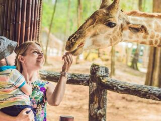 Los Angeles Zoo Membership Drop Sparks New Leadership Calls