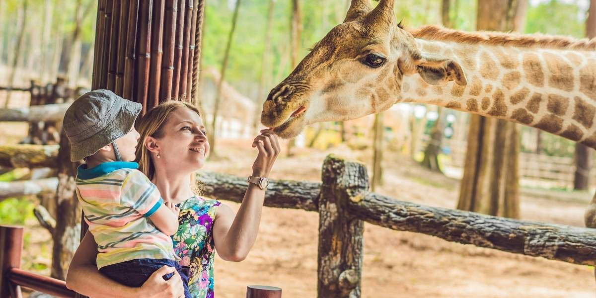 Los Angeles Zoo Membership Drop Sparks New Leadership Calls