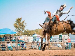 Proposed LA Rodeo Ban Sparks Heated Debate Over Culture