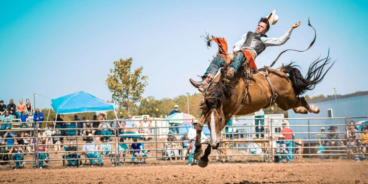 Proposed LA Rodeo Ban Sparks Heated Debate Over Culture