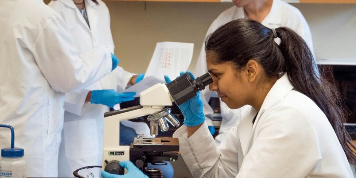 UCLA Brain Cancer Studies Find Immune Gains and Resistance