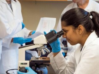 UCLA Brain Cancer Studies Find Immune Gains and Resistance