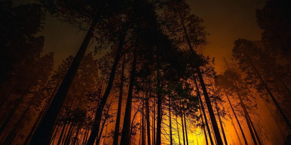 LA Wildfire Stories Told Through Virtual Reality Exhibits and Documentaries