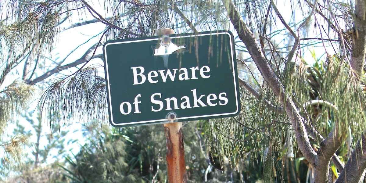 SoCal Rattlesnake Season Surge Linked to Early Warm Weather